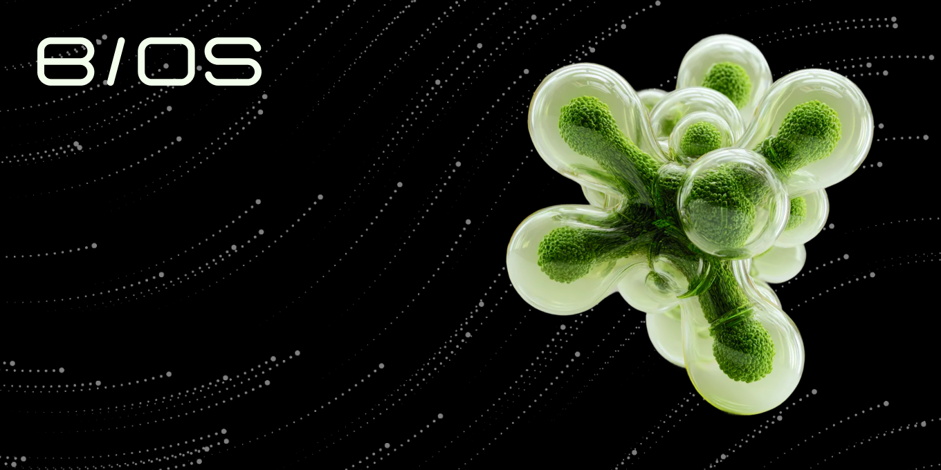 BIOS preview