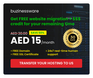 Buzinessware Hosting