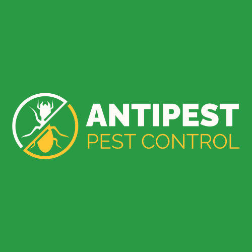 AntiPest Pest Control Services logo