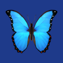 Bluesky Scheduler logo