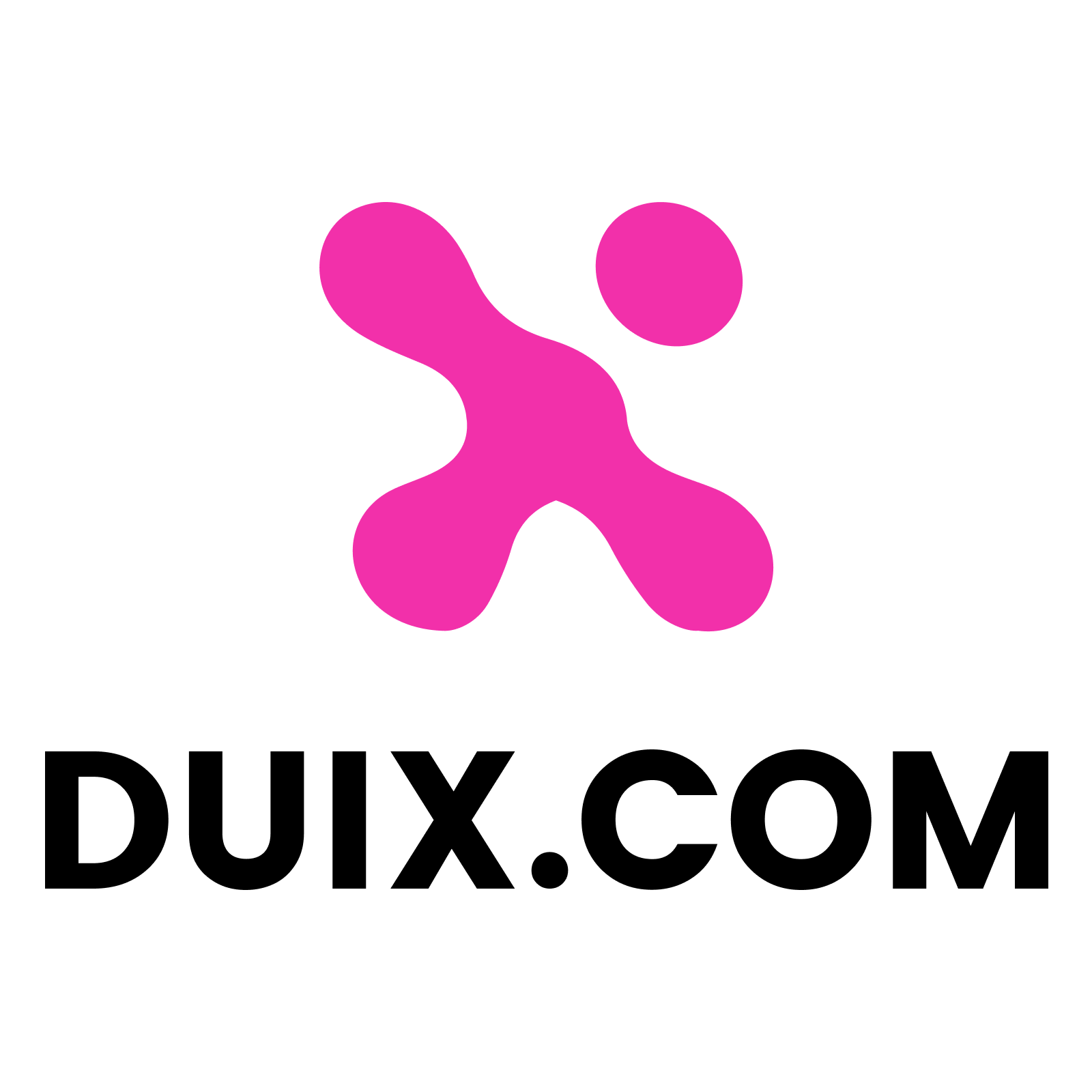 DUIX.c