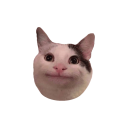 Notesc