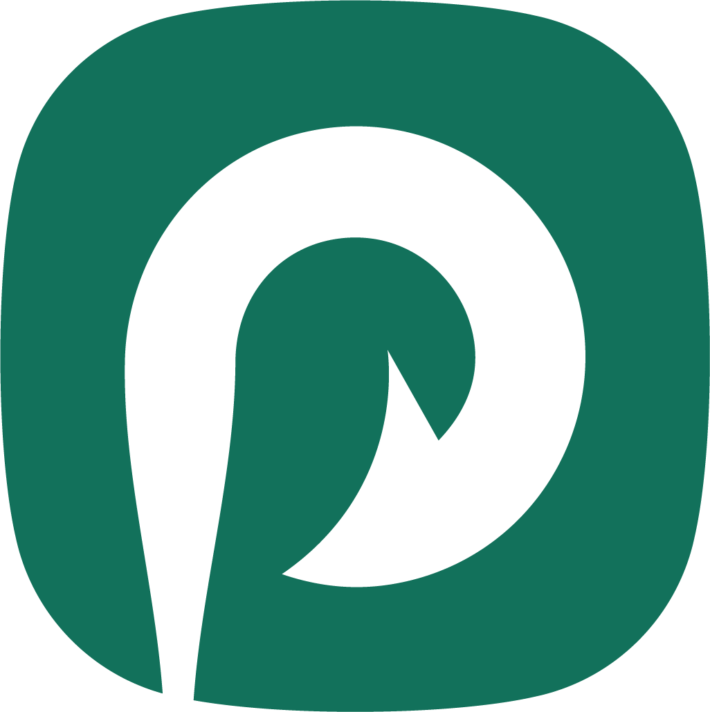 RapidP