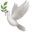 Scopeb