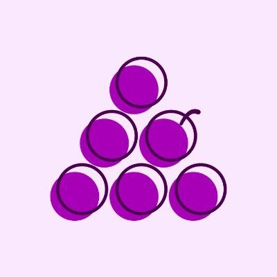VibeBerry Team
